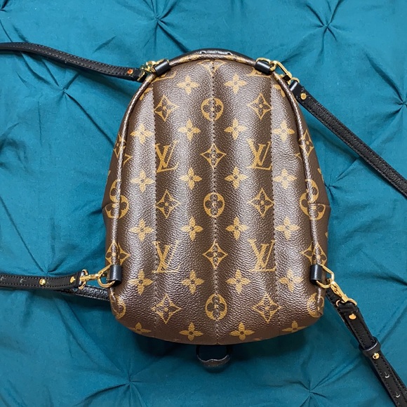 Louis Vuitton Palm Springs Mini - Picture 3 of 4